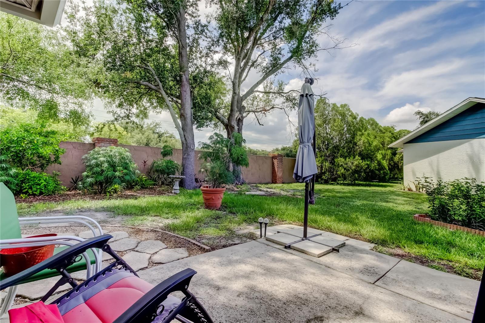 Back yard