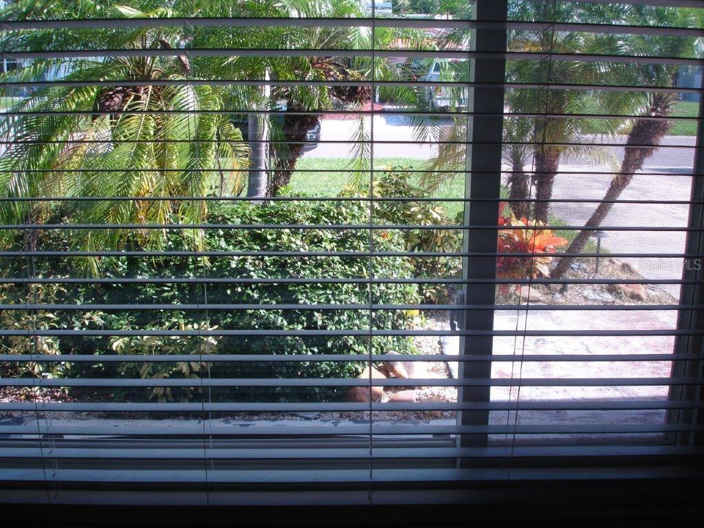Window looking out of living room.