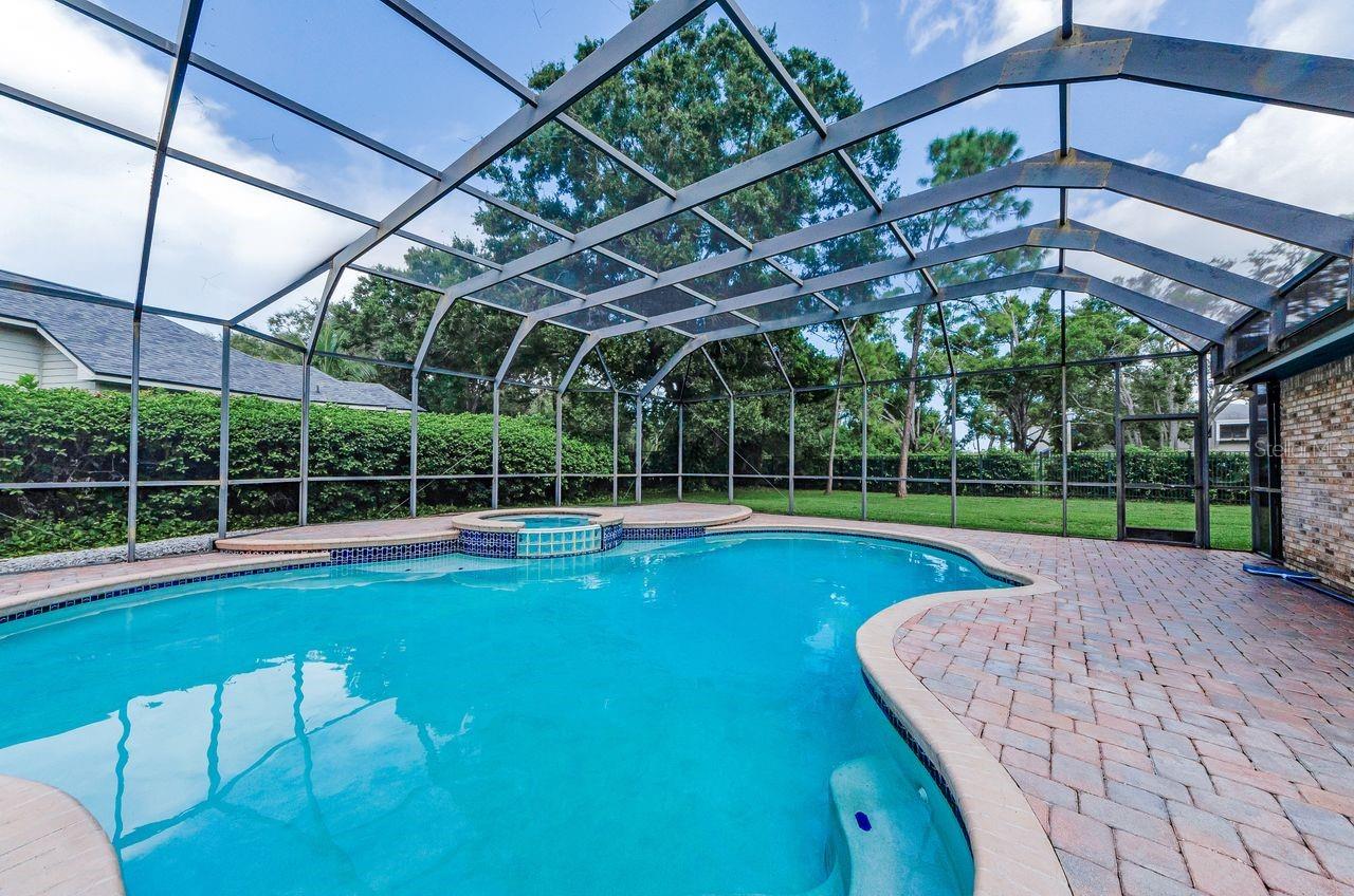 Beautiful pool and spa!