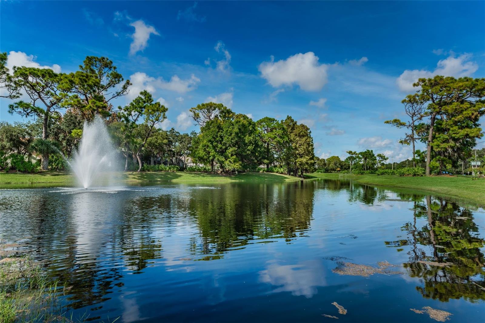 Beautiful neighborhood and so walkable!