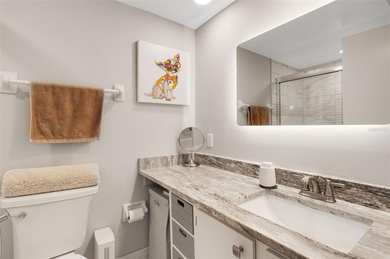 Primary bathroom