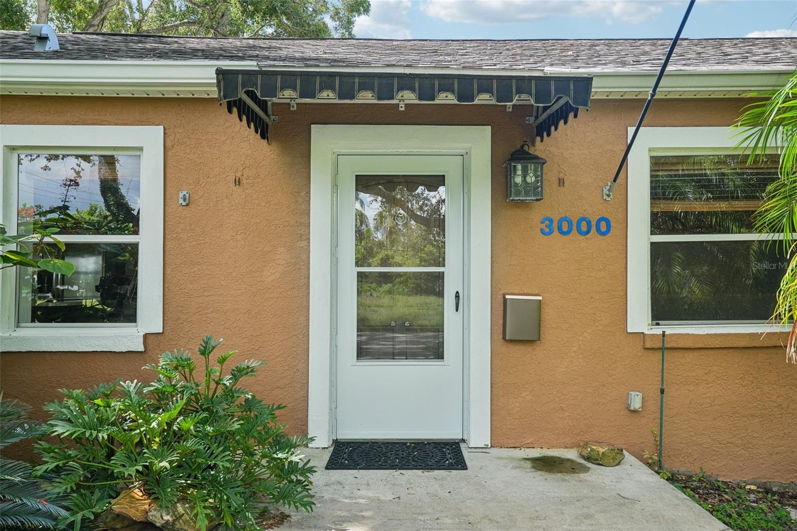 C7513380