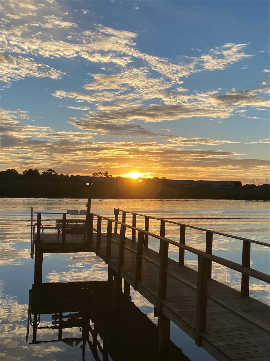Dock Views