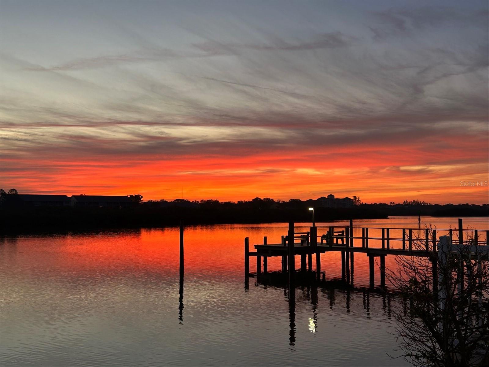 Dock Views