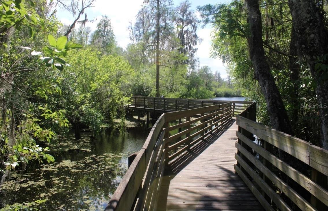 Lettuce Lake Park