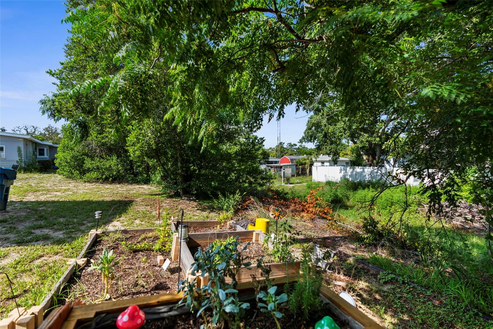 Garden Area / Back Yard