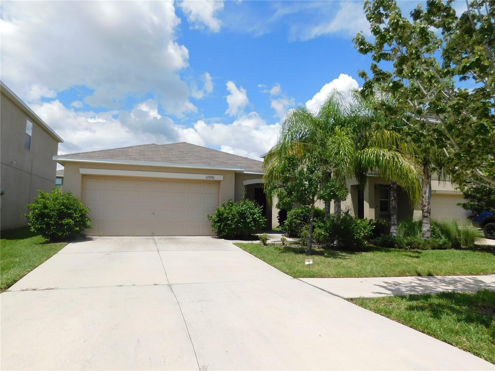 Mature landscaping and a nice size driveway