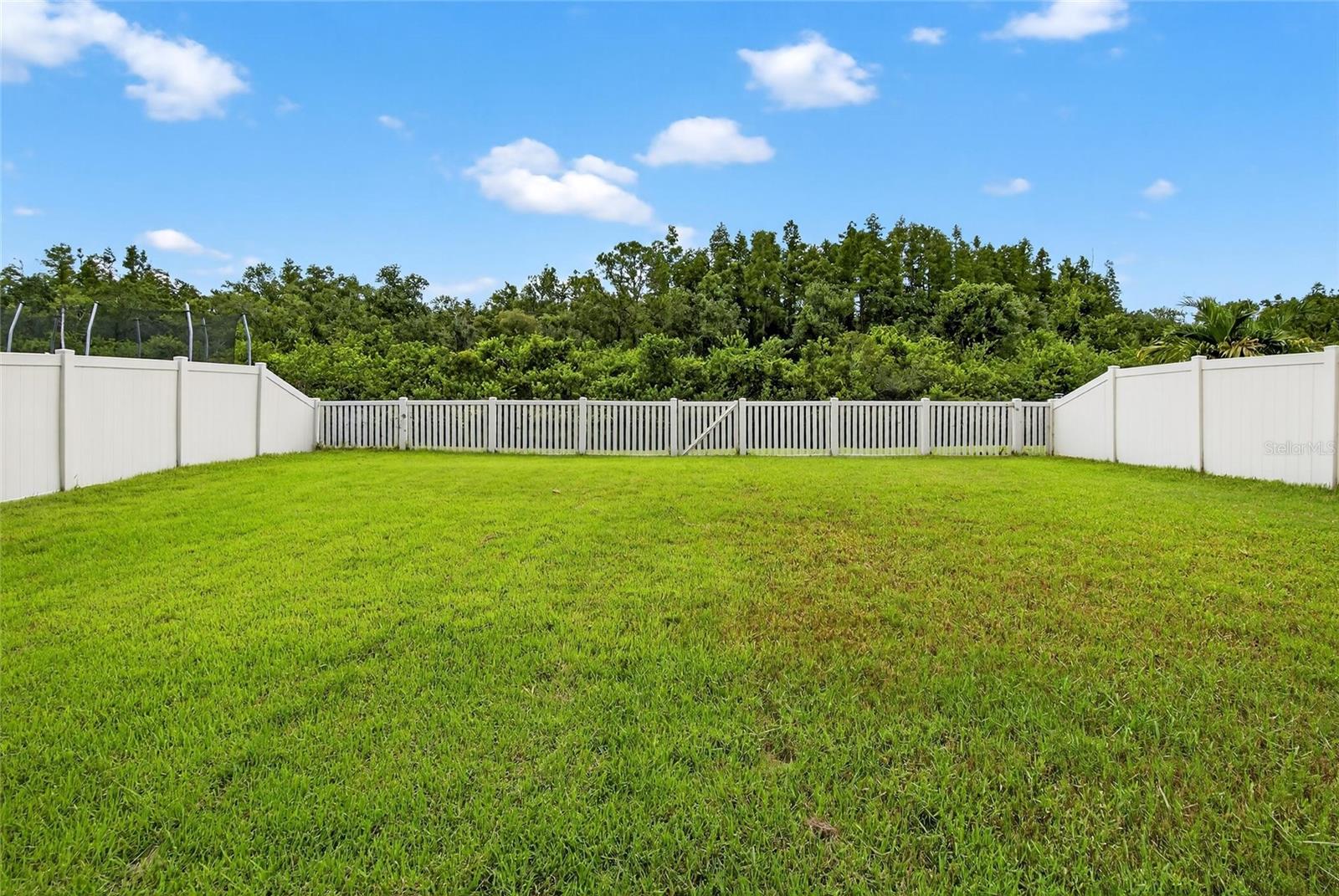 Rear of lot#3