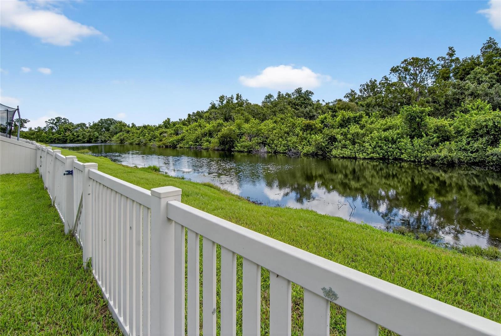 Rear of creek view