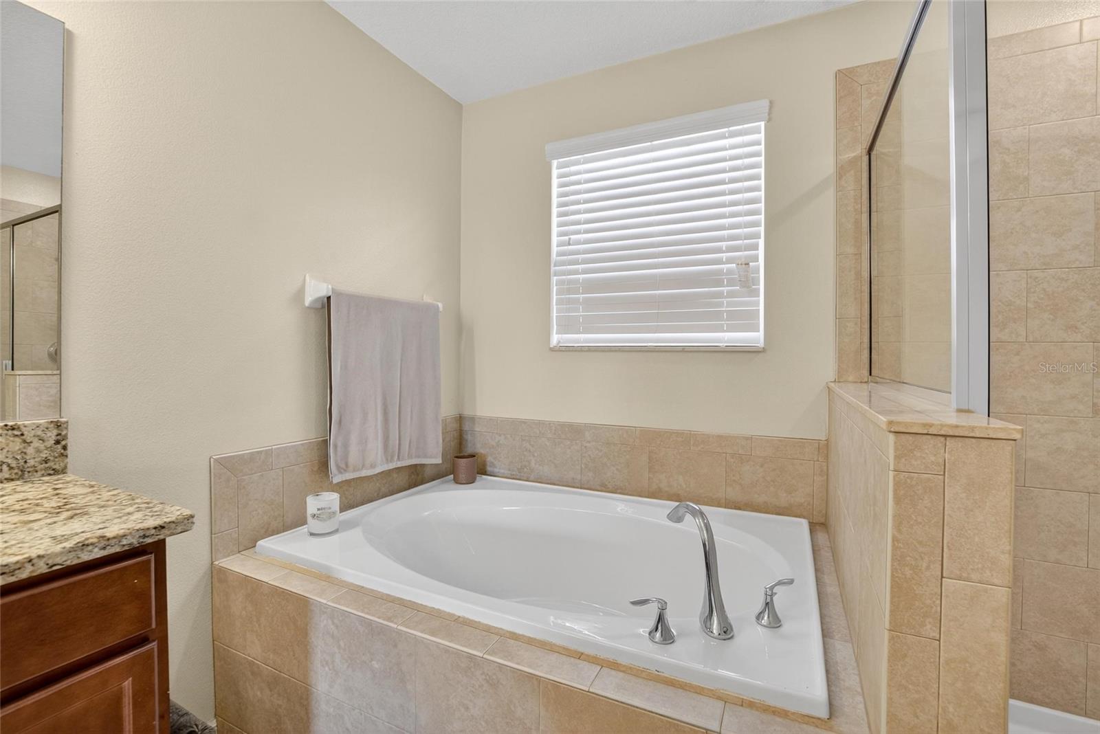 Master bath#2