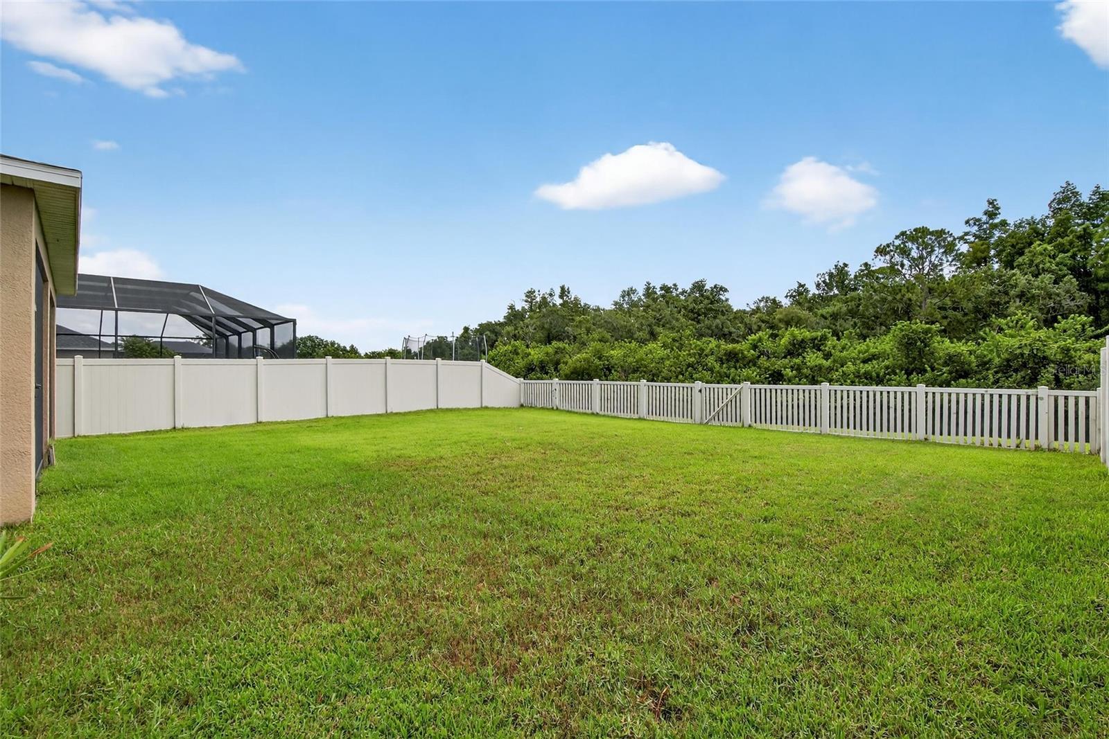Rear of lot#2