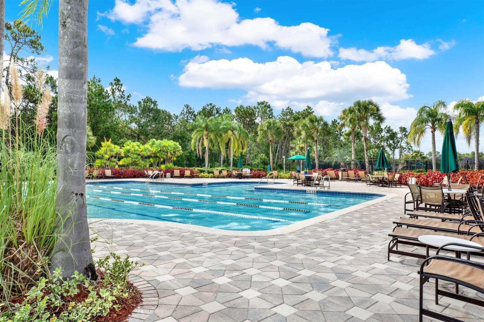 Lap Pool