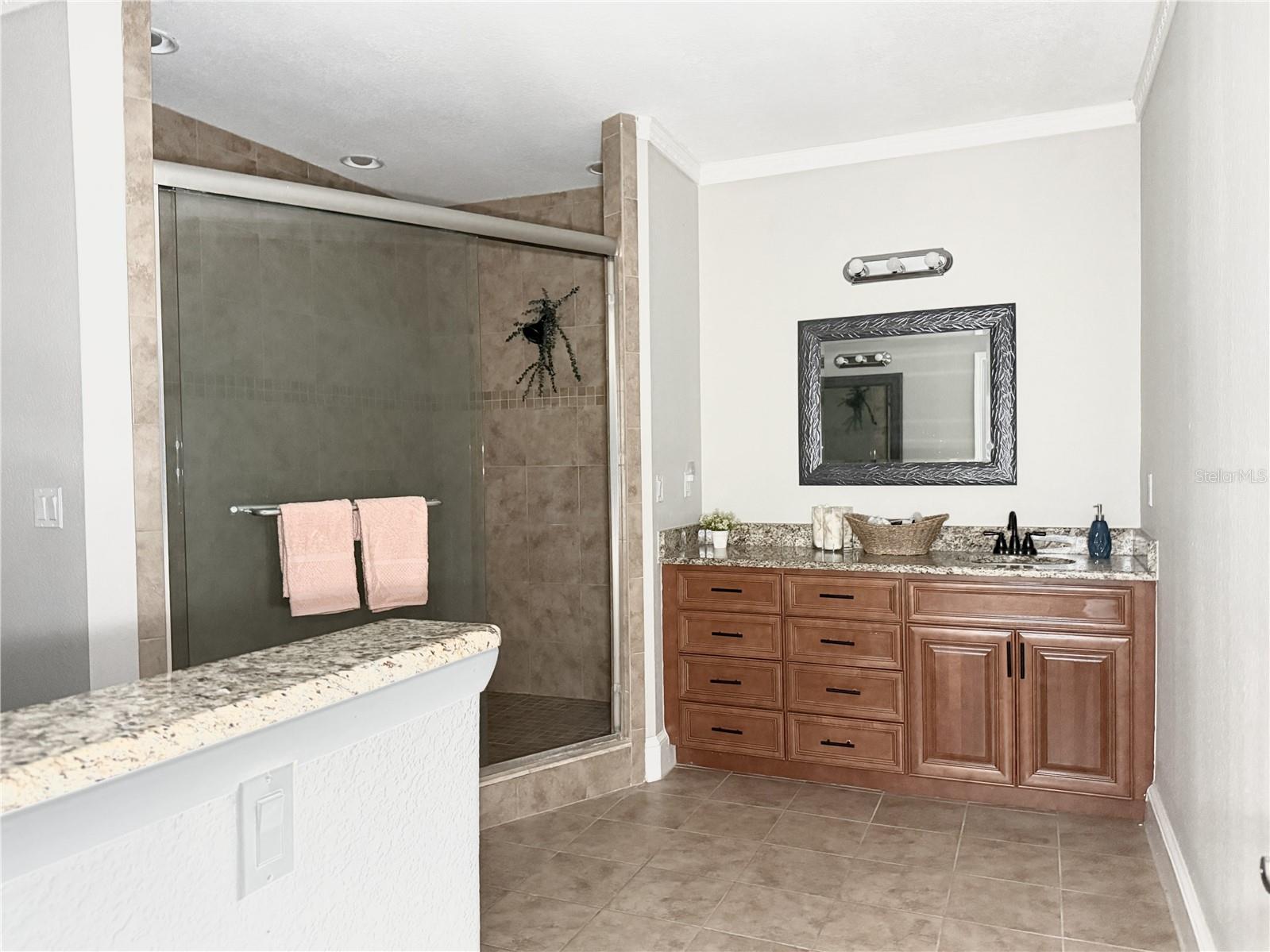 Primary Bath - Walk-In Shower