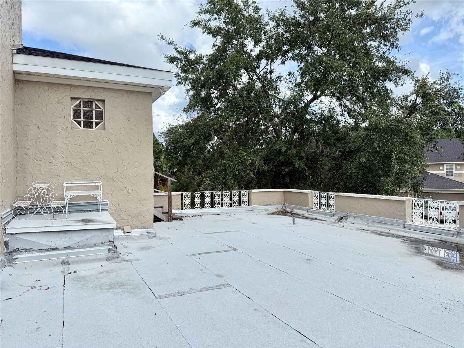 Roof Top