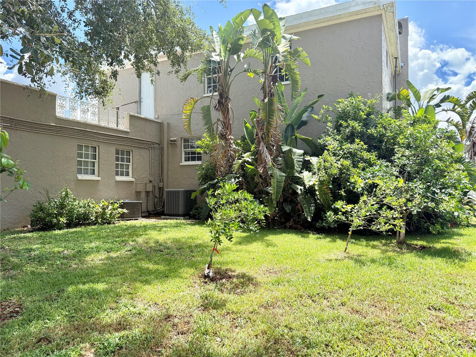 Side View of the Home