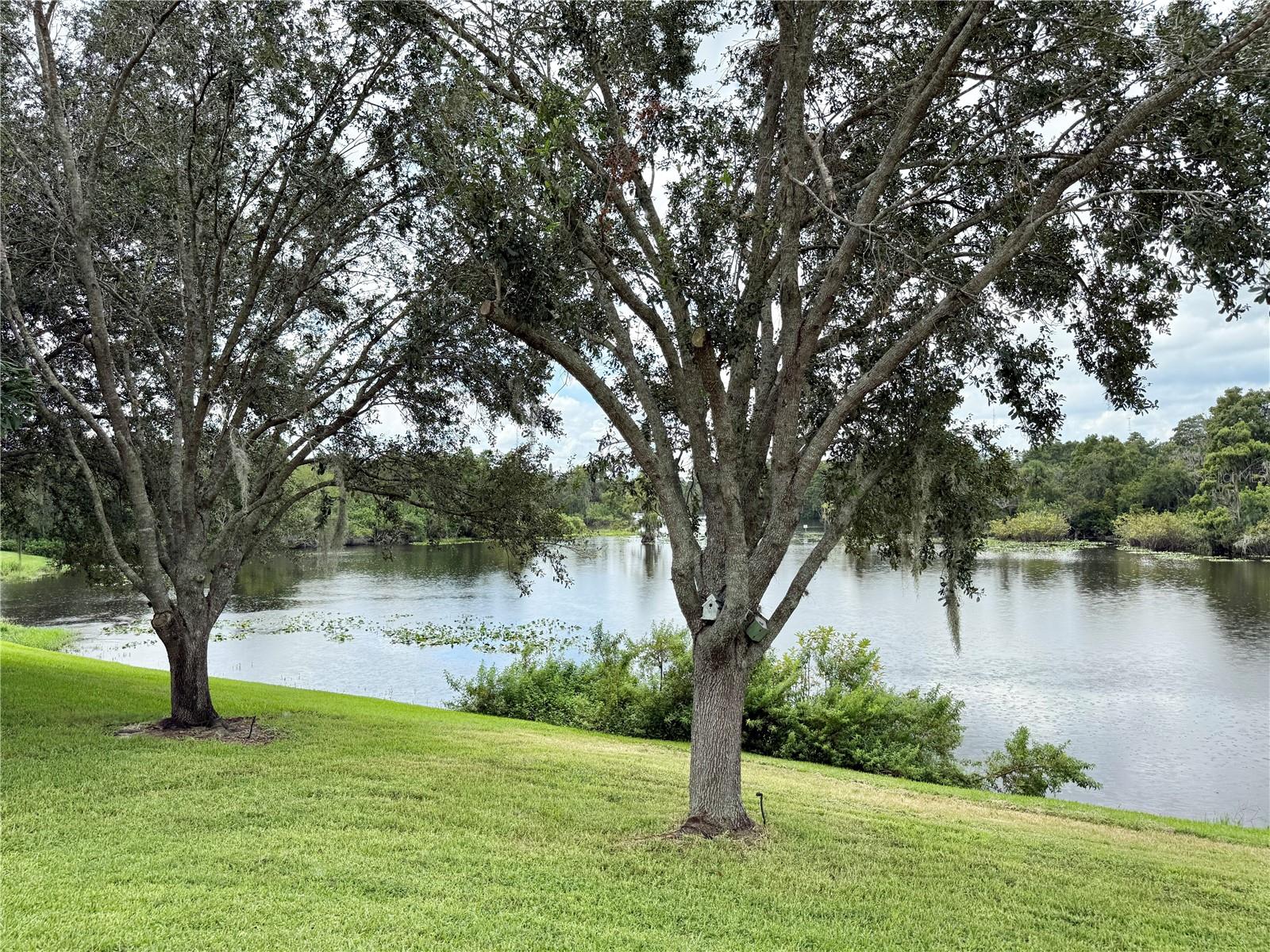 River View