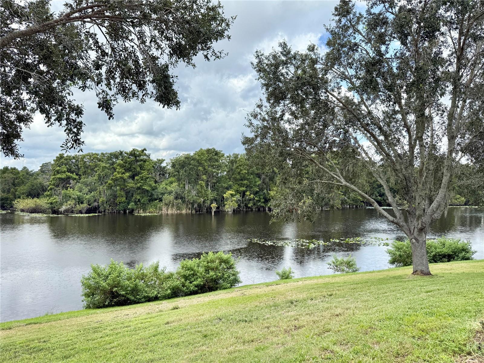 River View