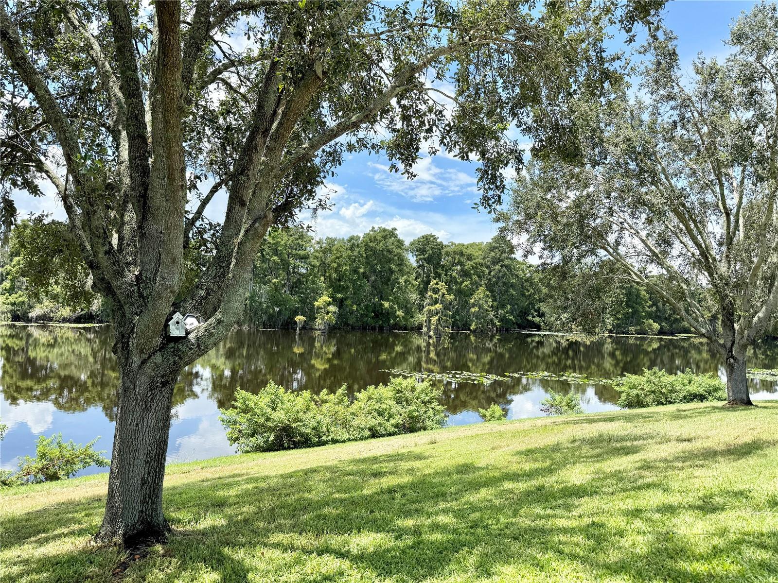 River View