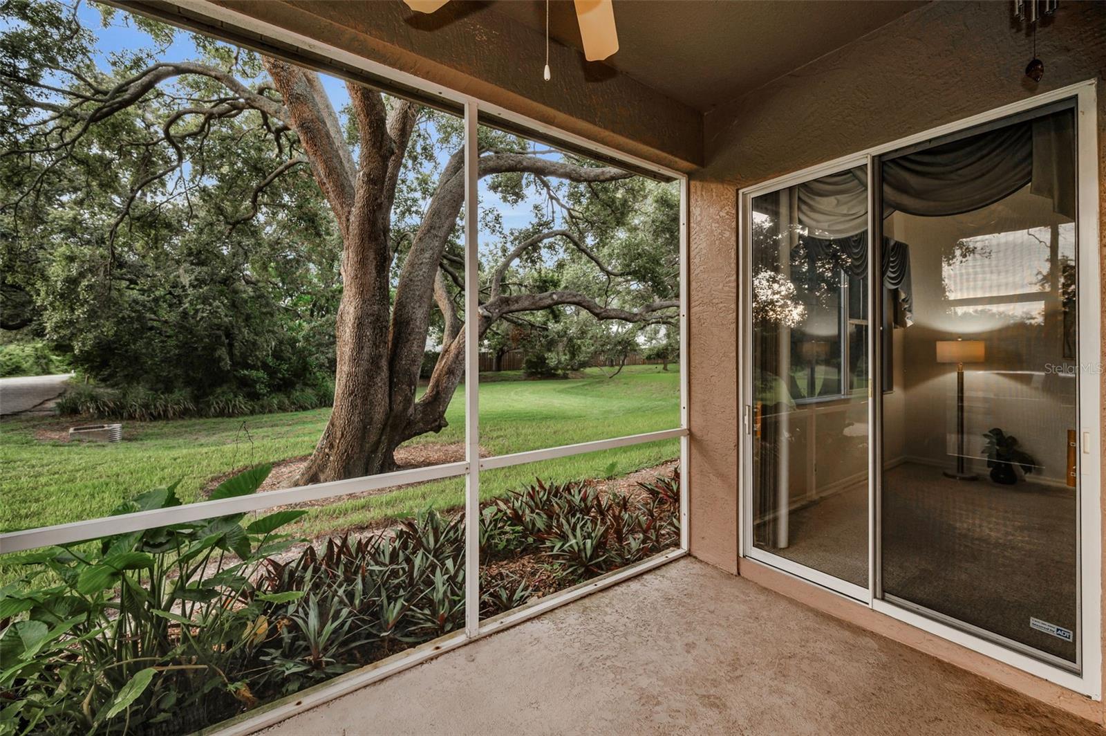 back patio screened in