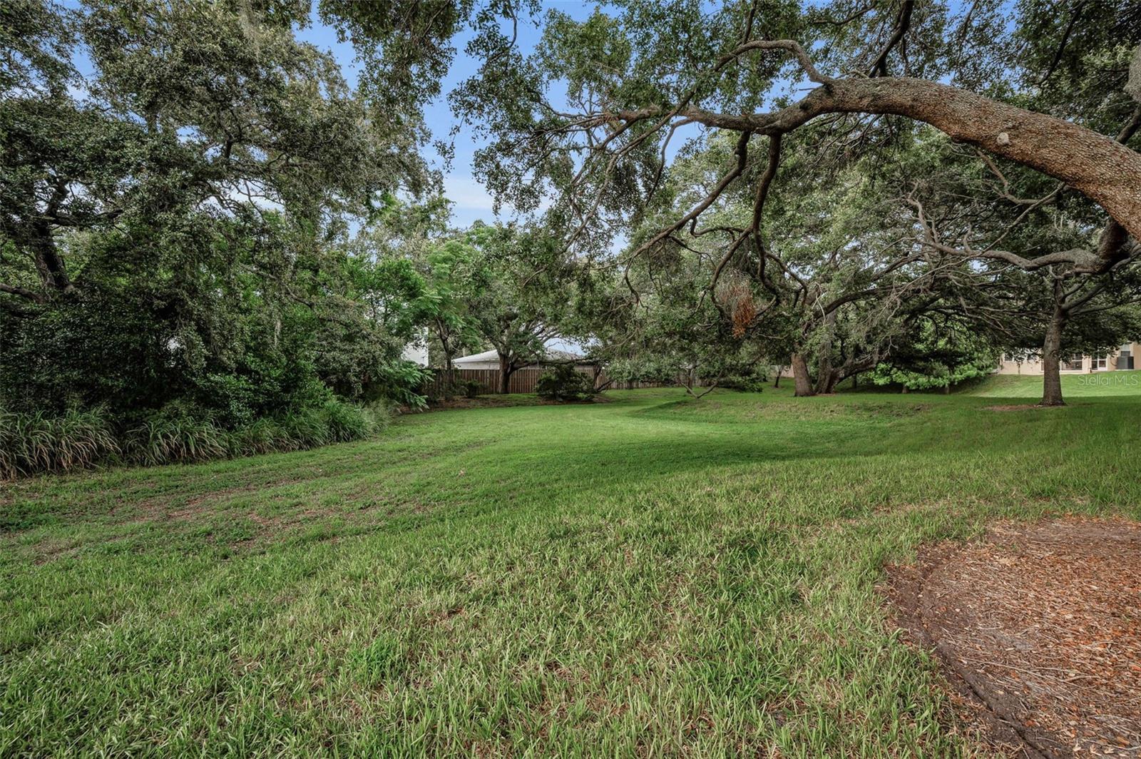 common area behind unit