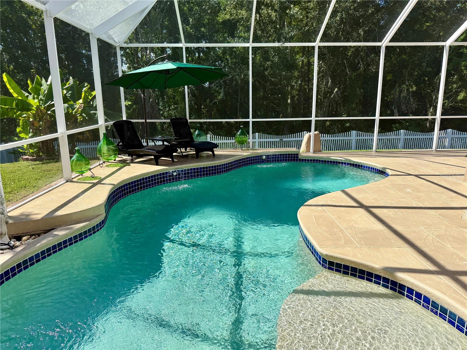 Enjoy your private heated, saltwater pool