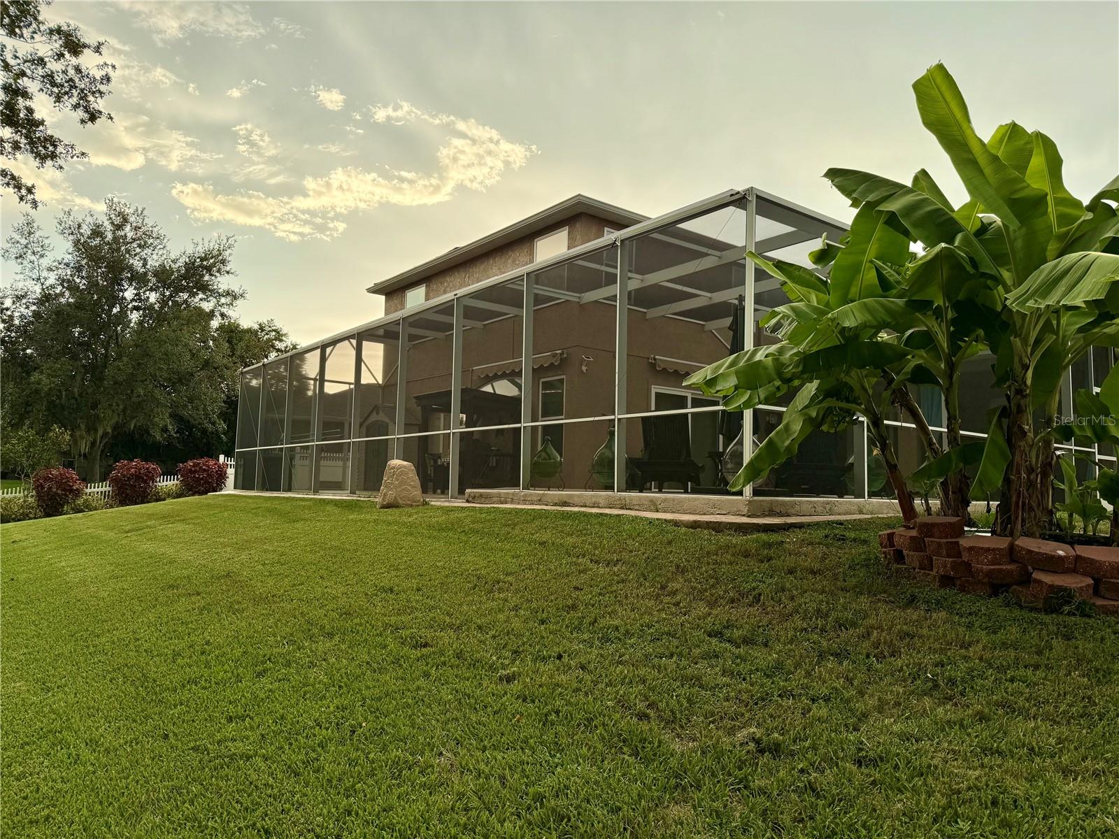 Large, mature yard with fruit trees