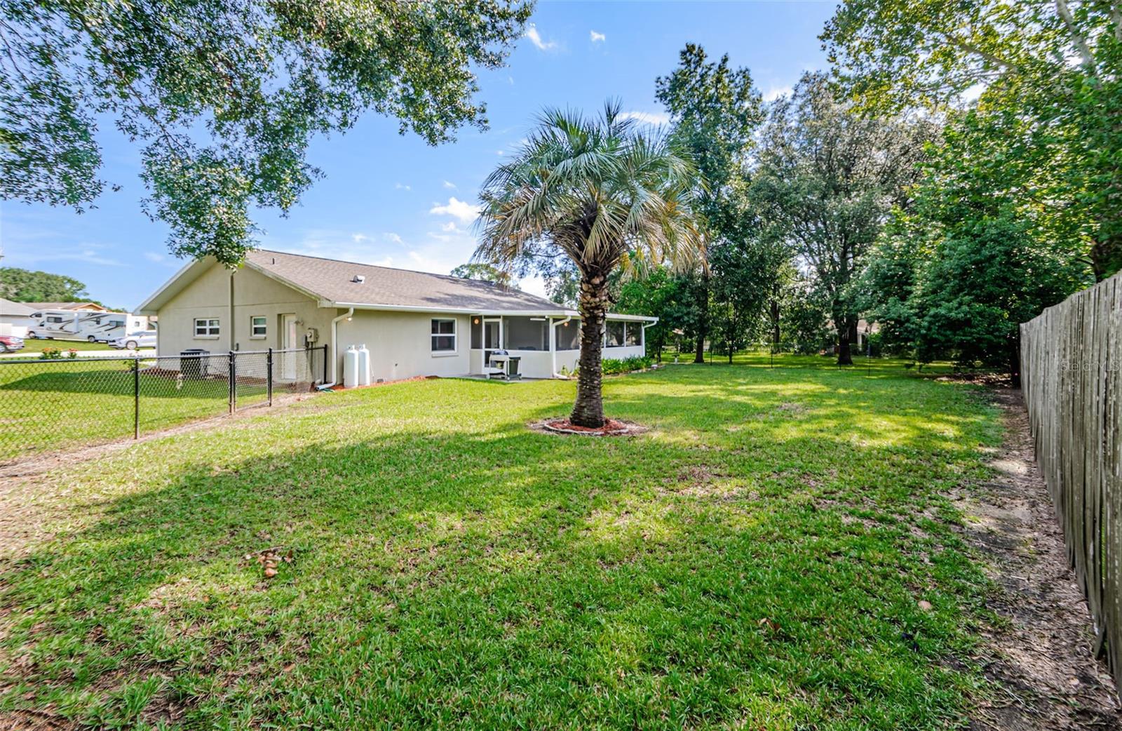 Large Backyard