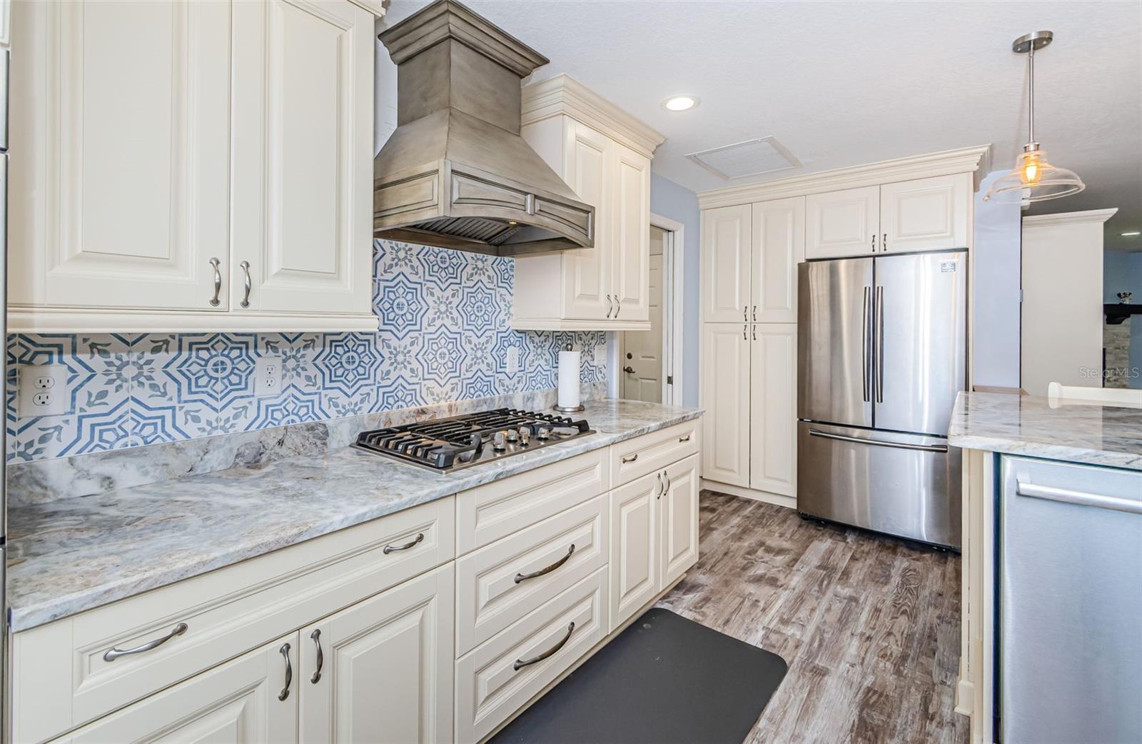 Gas Stove with Hood