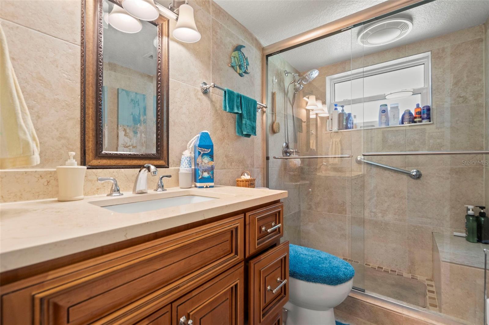 hall bathroom lower level