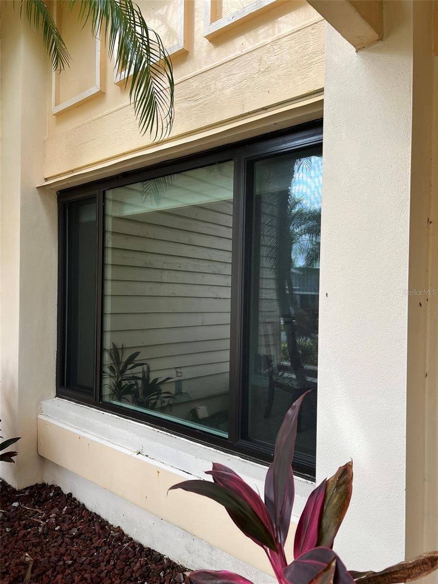 Dining room window