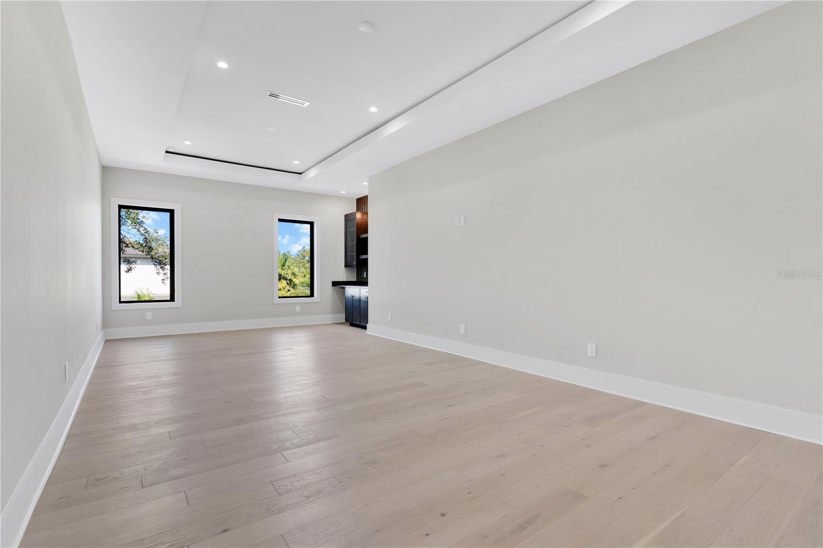 Entertainment/Theater Room