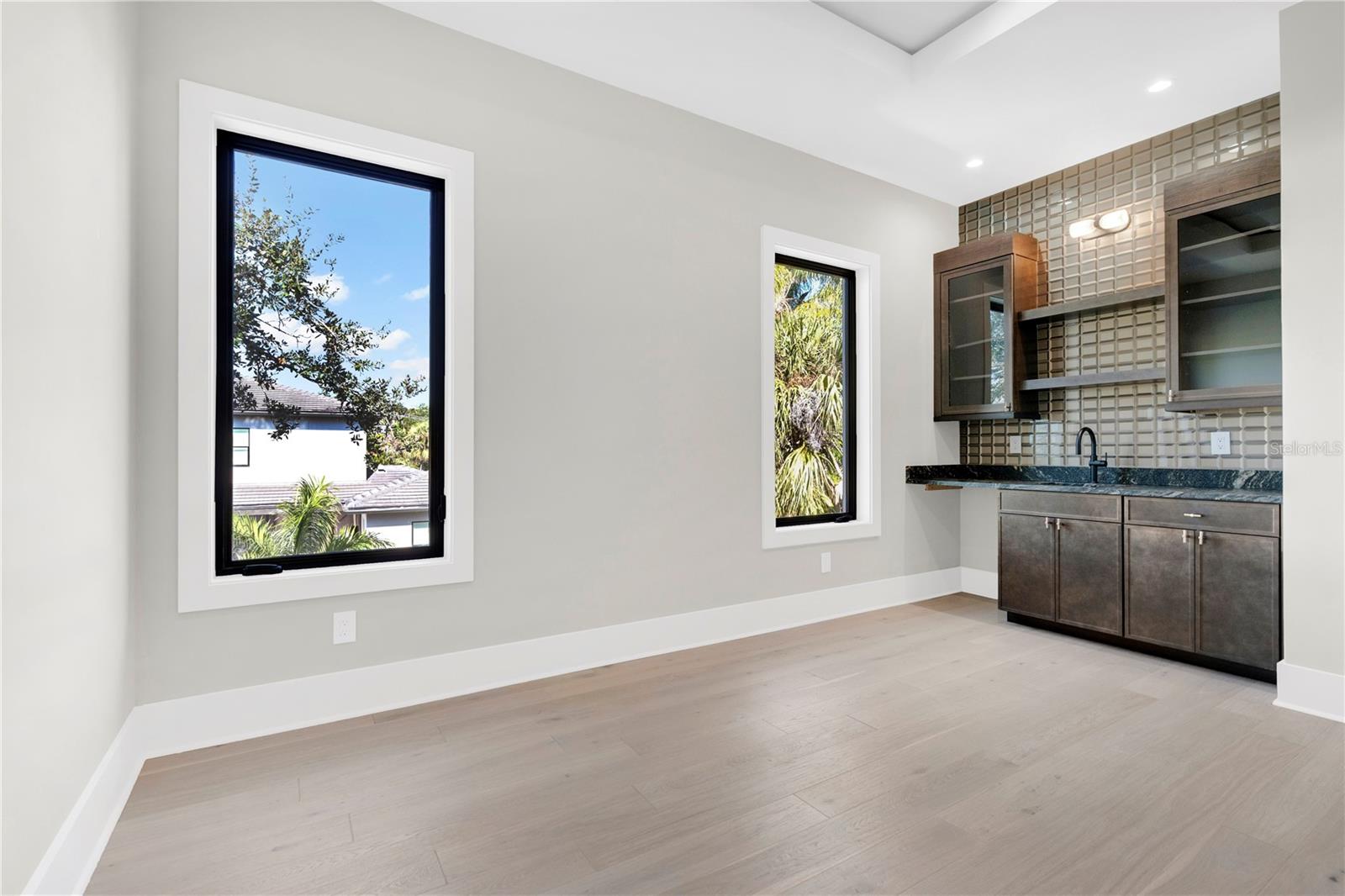 Entertainment/Theater Room