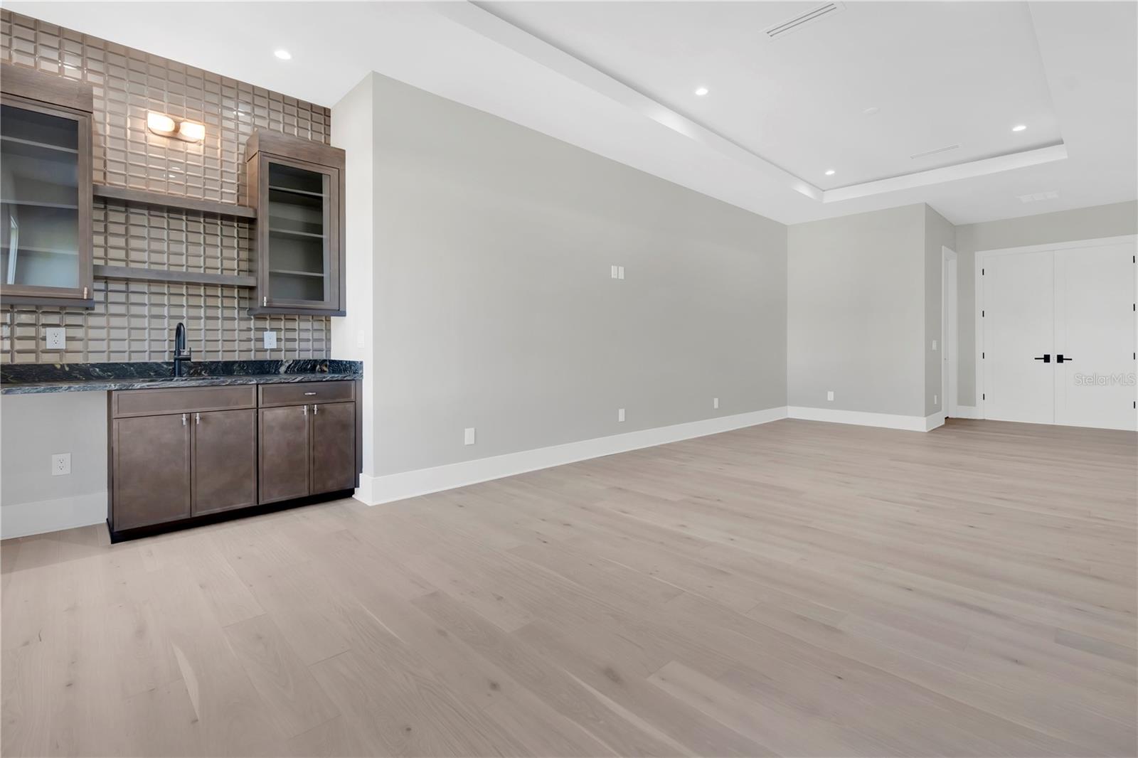 Entertainment/Theater Room