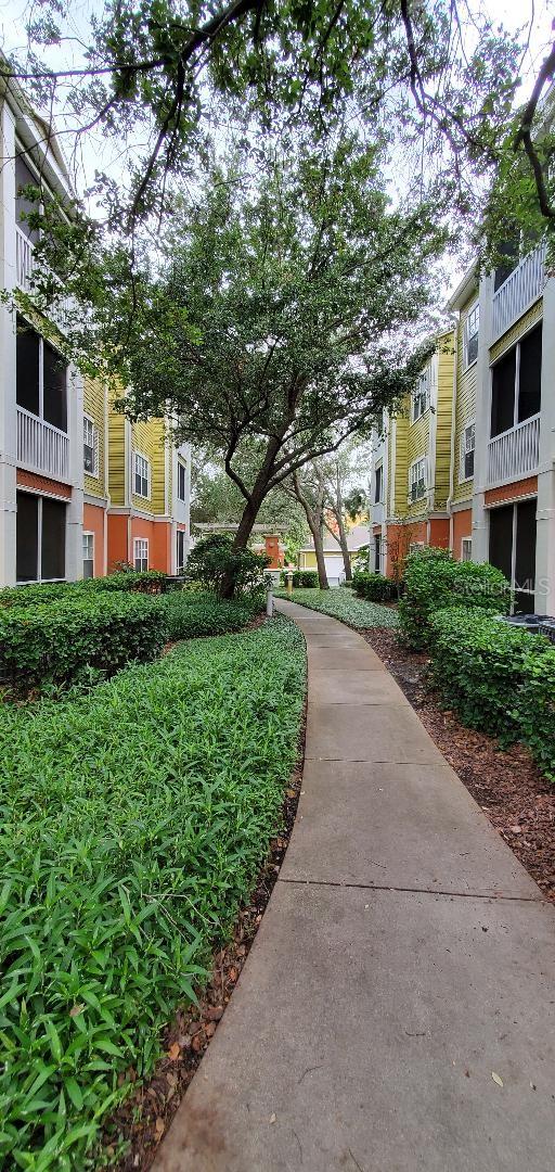 Walking Path