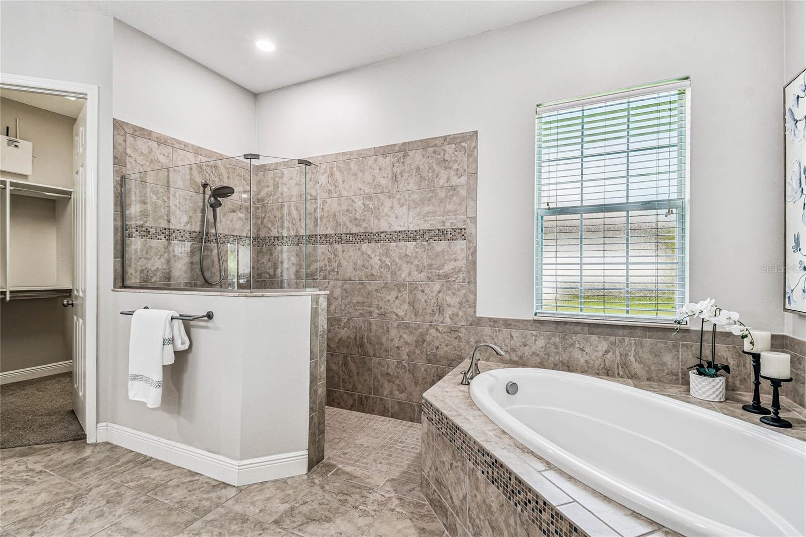 Tub and Walk In shower