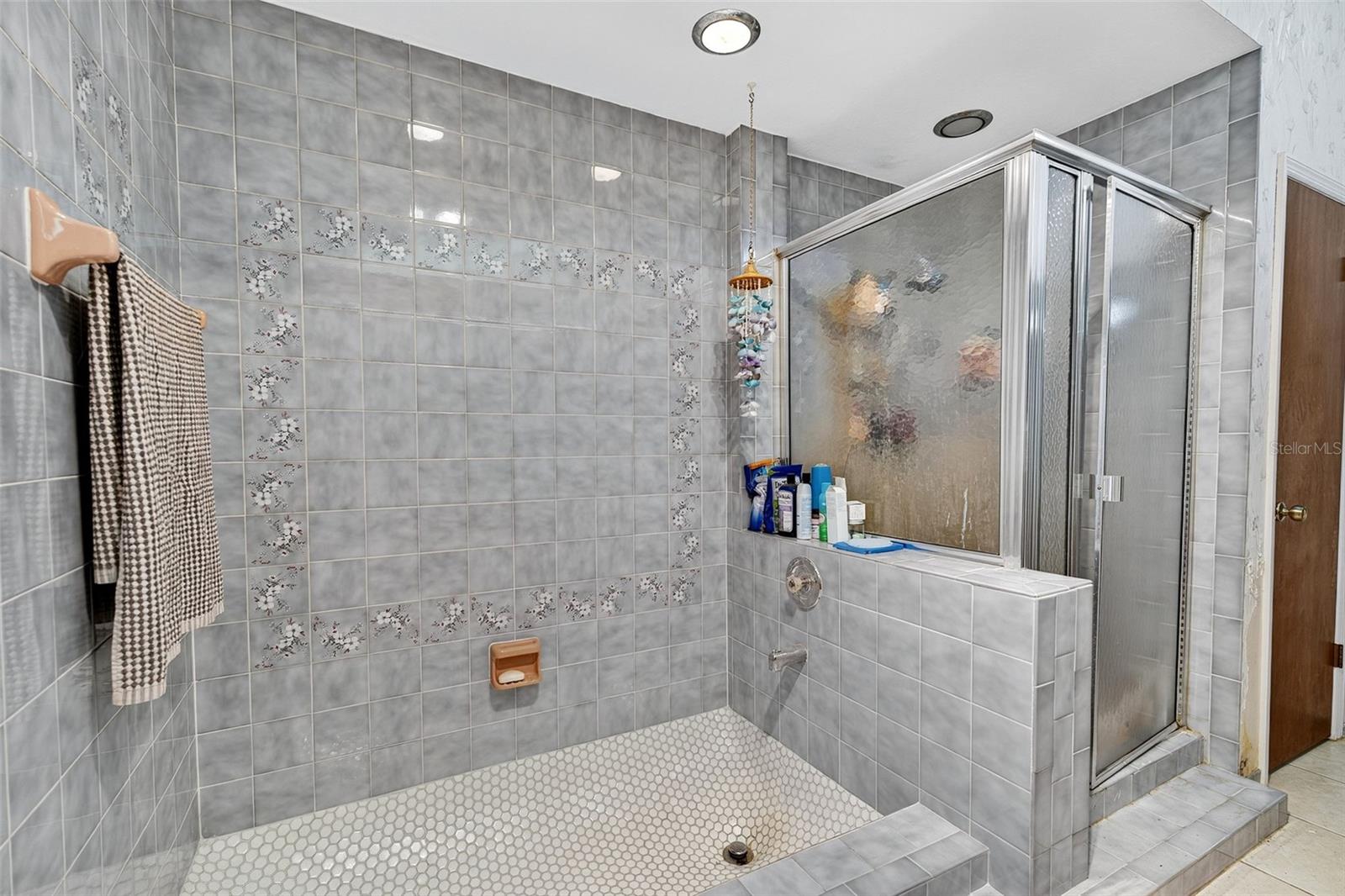 Roman Tub with seperate shower