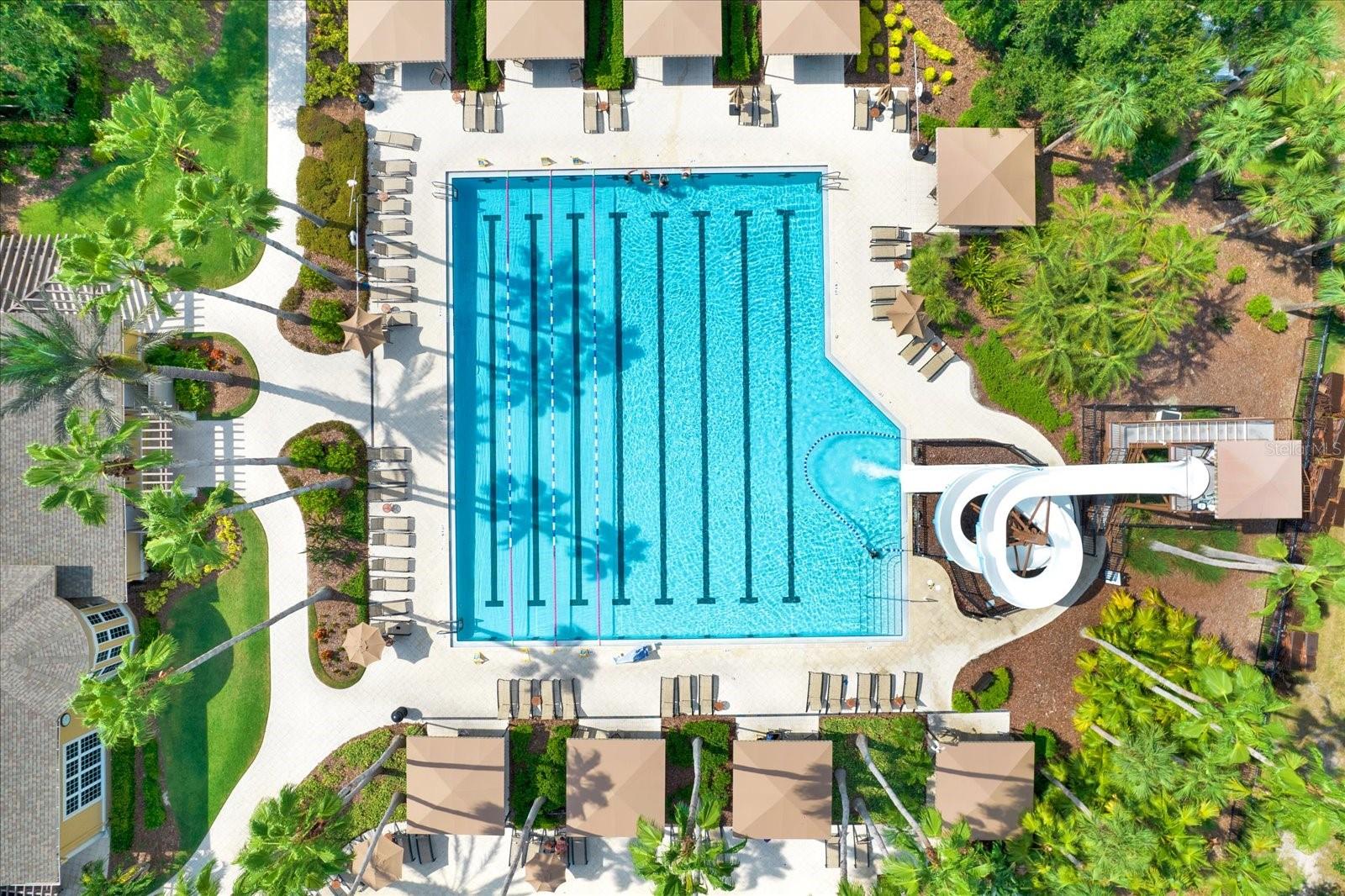Lap Pool