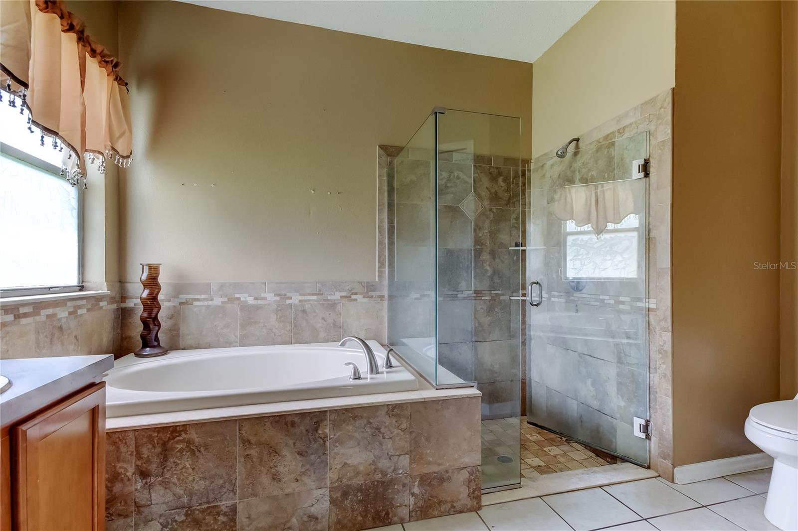 Primary en suite bath with tub and separate shower