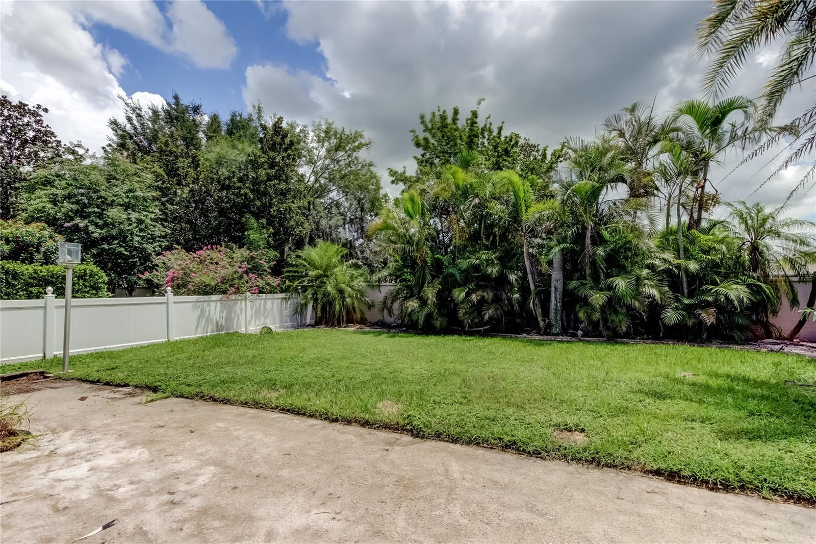 fenced back yard