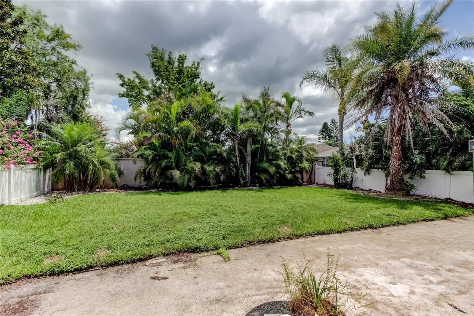 fenced back yard