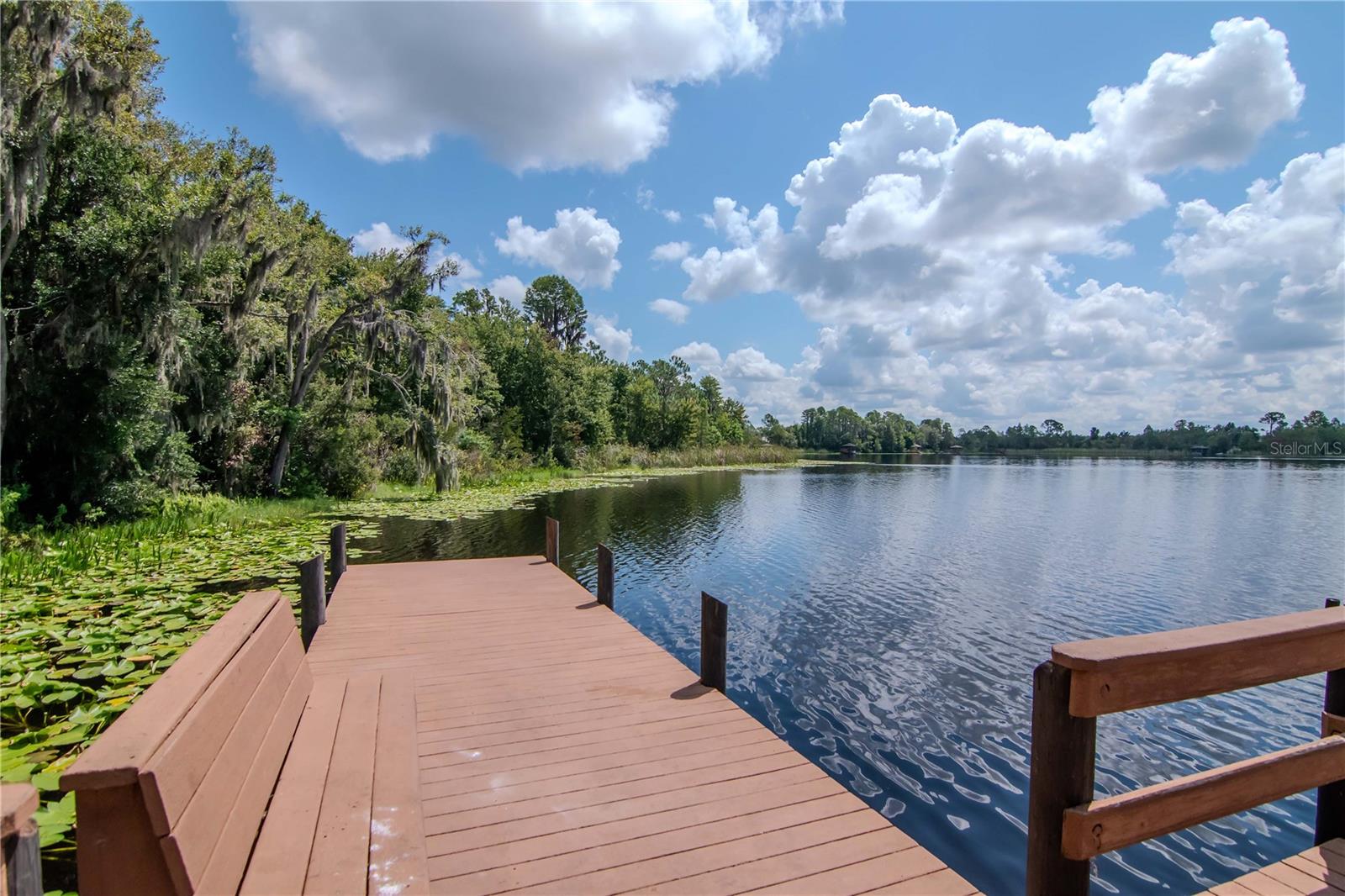 WLP Dock & Kayak Waterfront Area