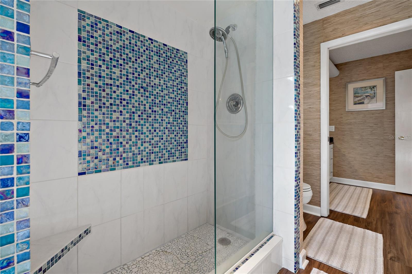 GORGEOUS SHOWER IN THE GUEST/POOL BATHROOM