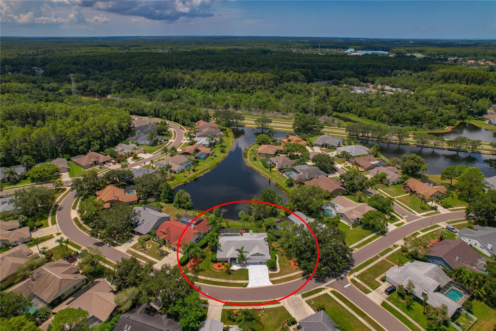 YOU WILL LOVE THIS SECLUDED, PRIVATE TARPON SPRINGS AREA ~ WHERE NATURE AND COMMUNITY INTERTWINE!
