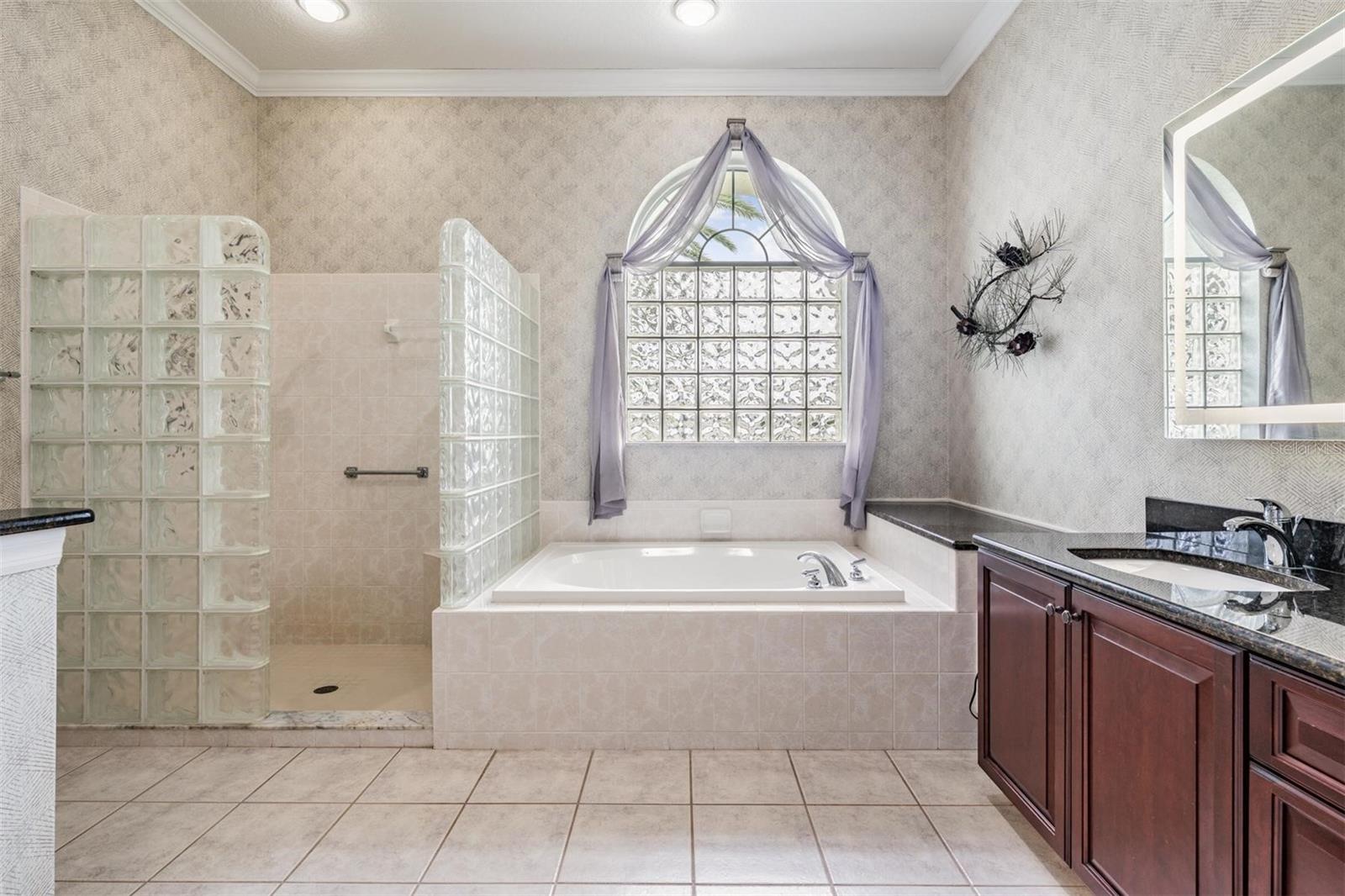 Soaking tub with walk-in shower
