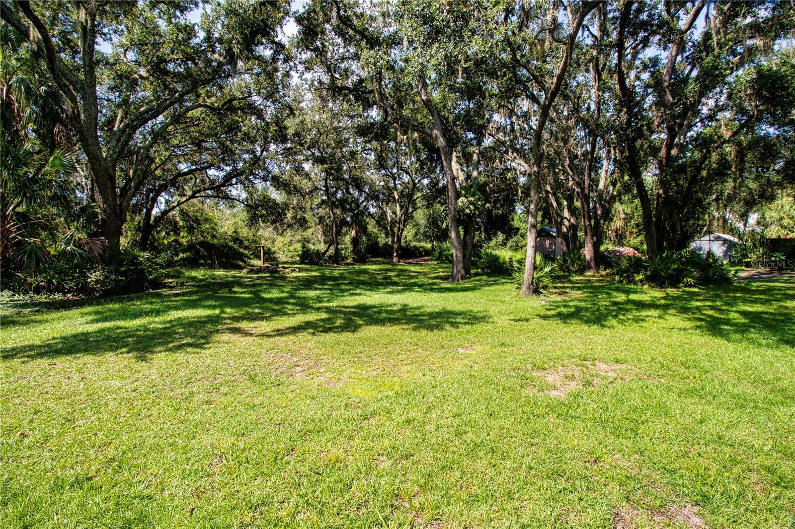 VIEW OF THE BACK YARD
