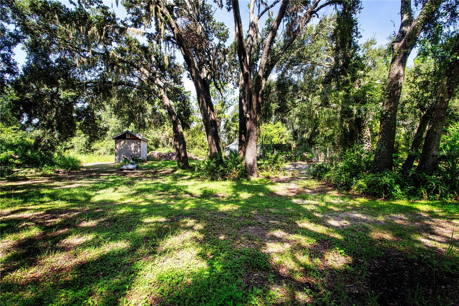 4.5 ACRES OF PROPERTY