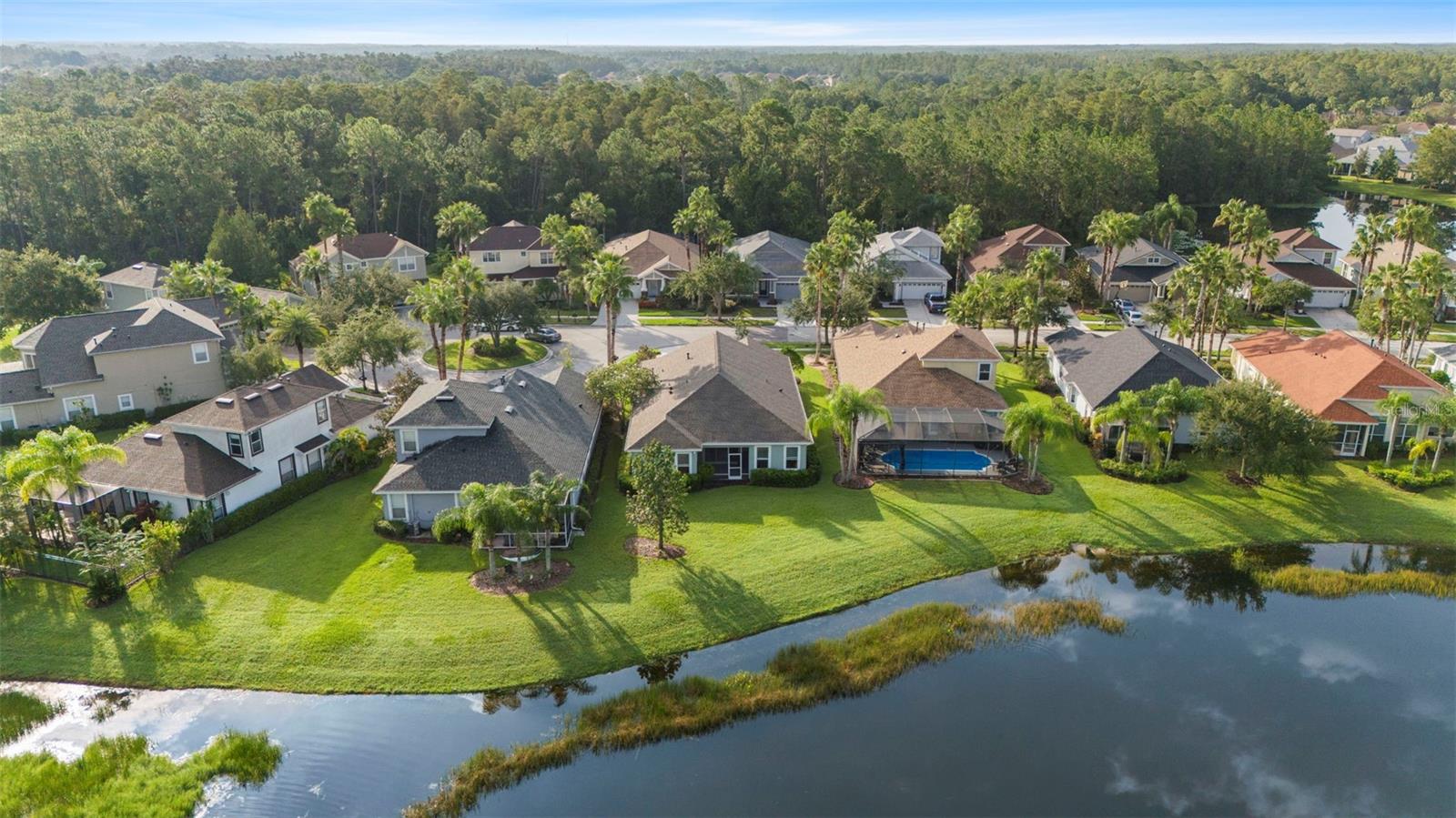 Pond Aerial