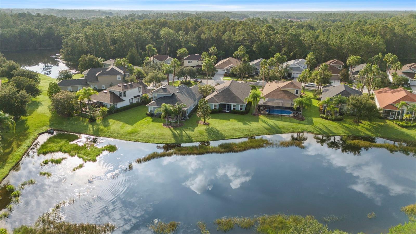 Pond Aerial