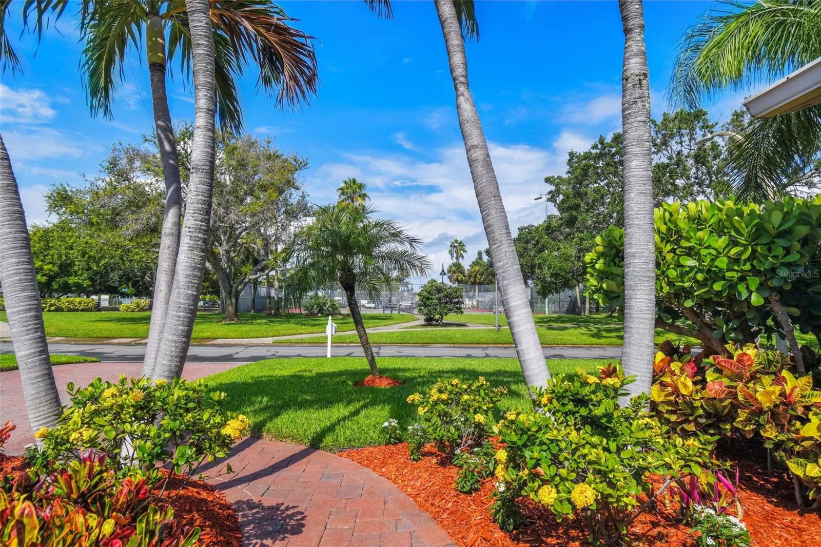View from your front entrance directly onto Vina Del Mar Park. No neighbors to the front of property!