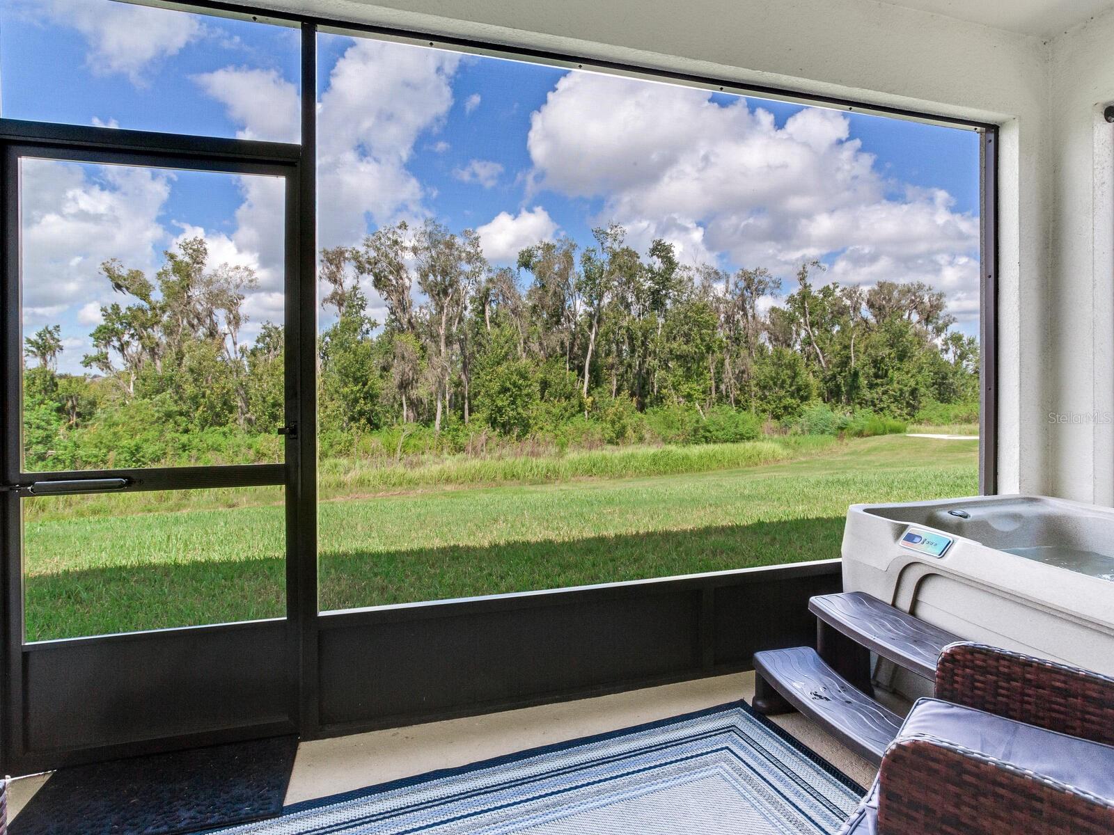 Upgraded screened lanai with conservation view